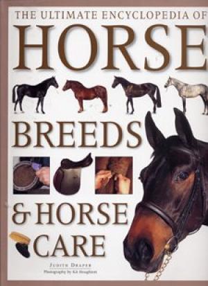 Anness: Ultimate Encyclopedia of Horses