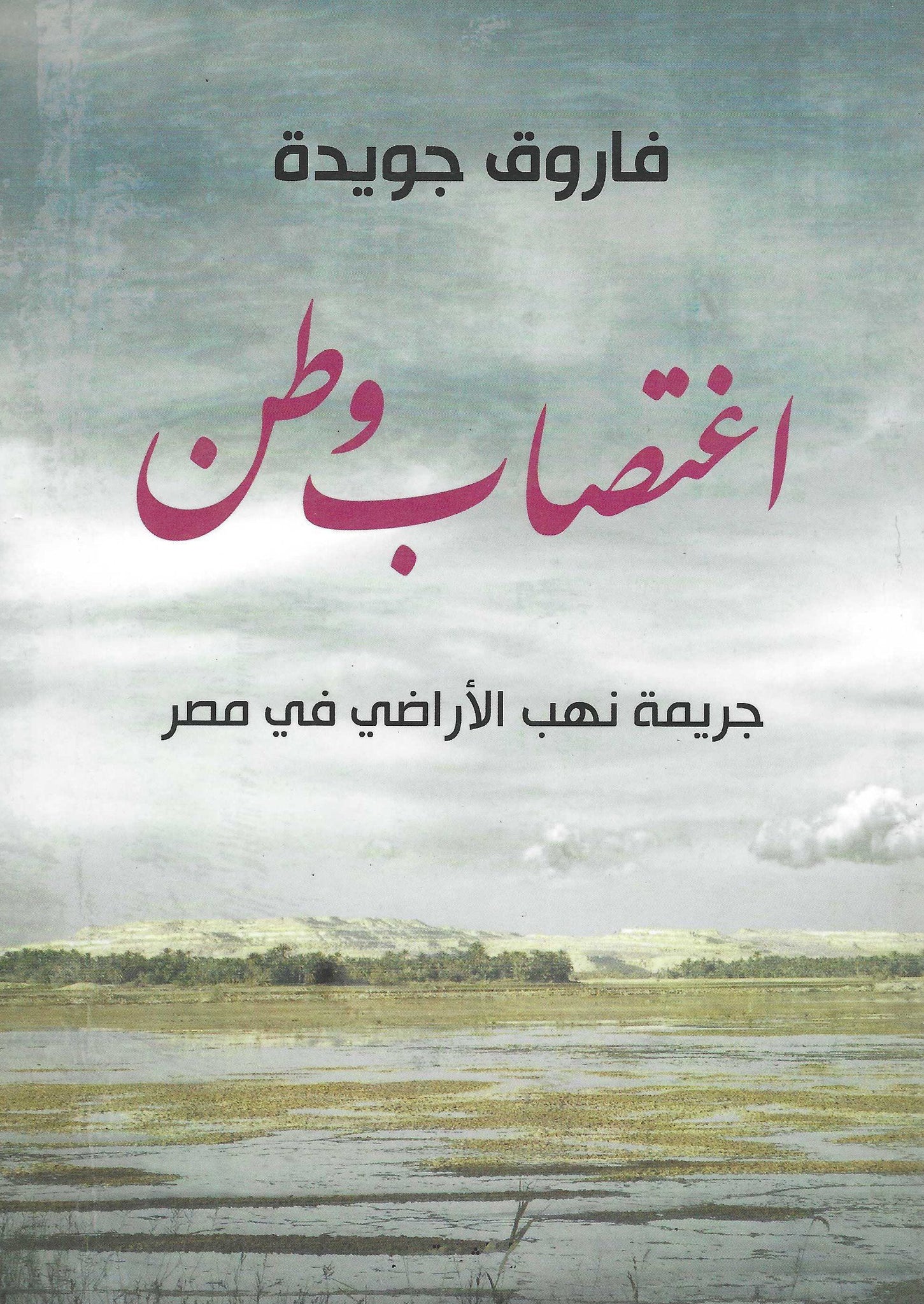 اغتصاب وطن جريمة نهب الأراضى