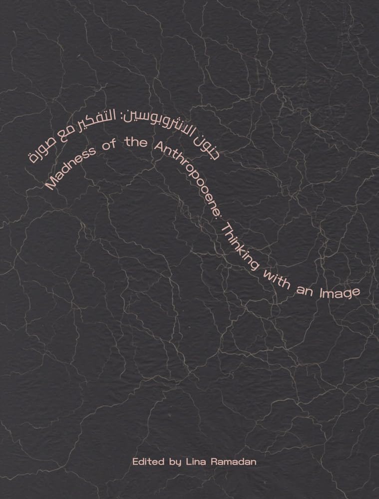 Madness of the Anthropocene