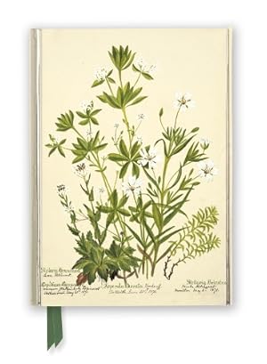 RBGE: Charlotte Cowan Pearson: Stitchworts, Woodruff and Pepperwort (Foiled Journal)